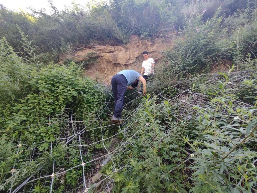 喜迎黨代會 圖說一周年（七）